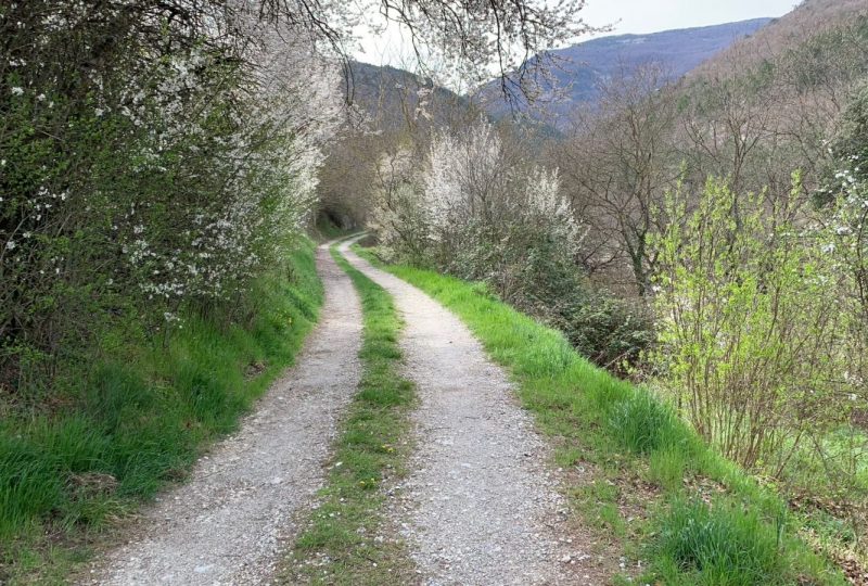 MONTJOUX – Cols Imbert et Marot à Montjoux - 4