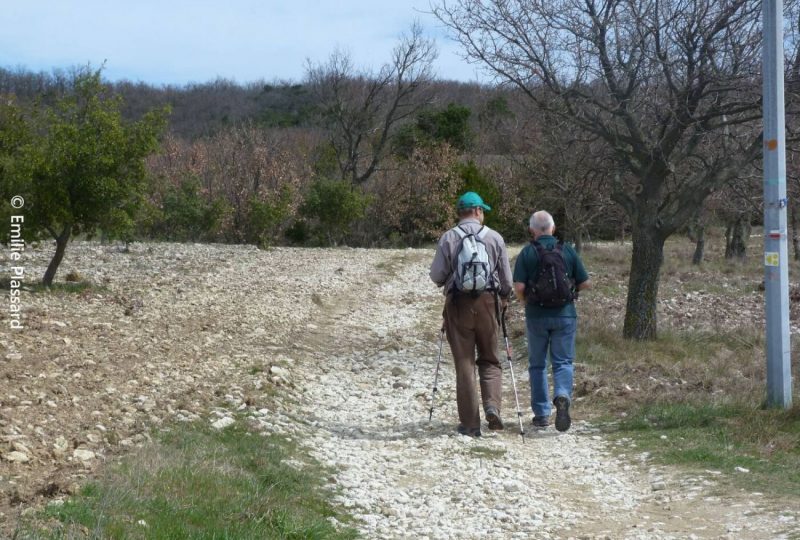 Les forêts d’Aleyrac à Aleyrac - 0