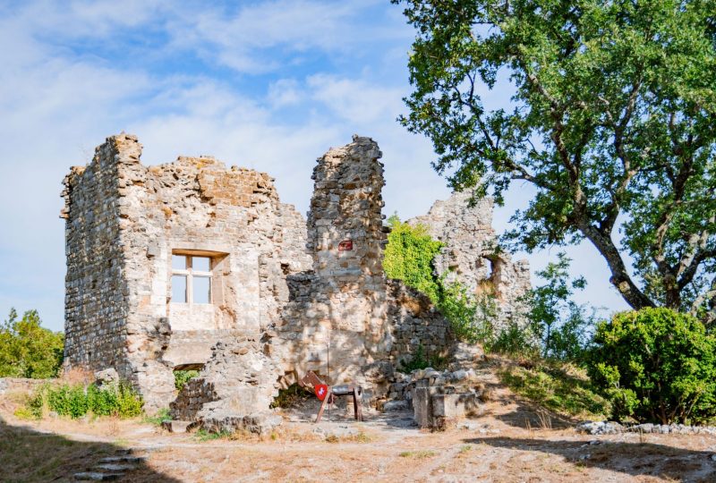 Le Château de Rochefort-en-Valdaine à Rochefort-en-Valdaine - 0