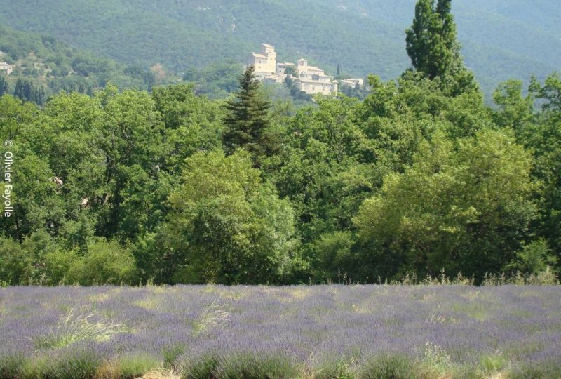 Grand Pas à Dieulefit - 0