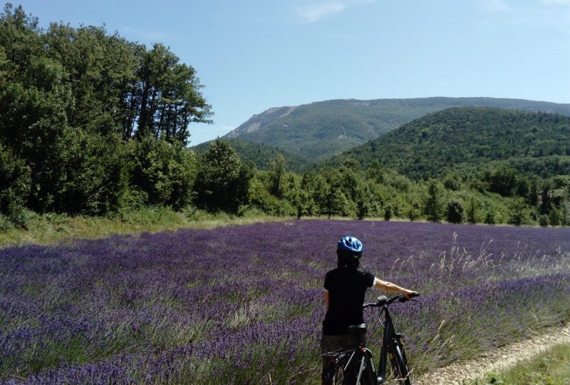 Week-end en itinérance en vélo à la découverte du Pays de Dieulefit-Bourdeaux à Dieulefit - 0