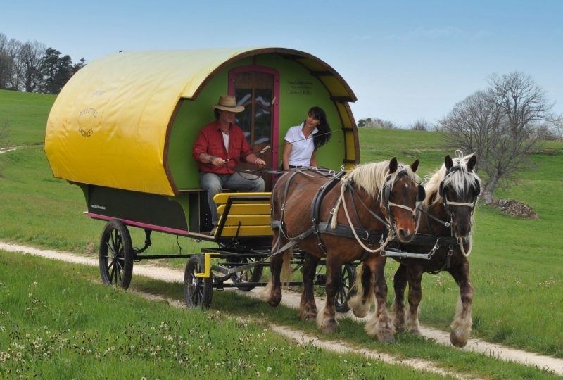 Drôme Roulottes Vacances: Calèches et vacances en roulottes itinérantes. à Le Poët-Célard - 2