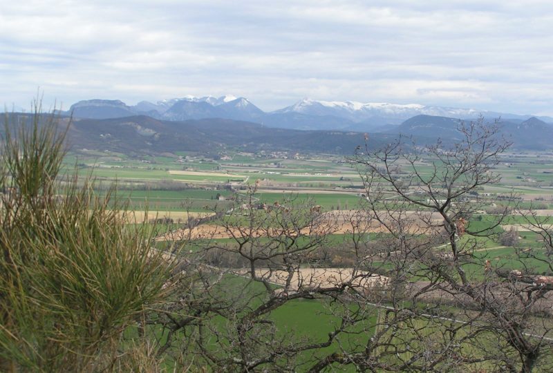 Forêt de Marsanne à Marsanne - 3