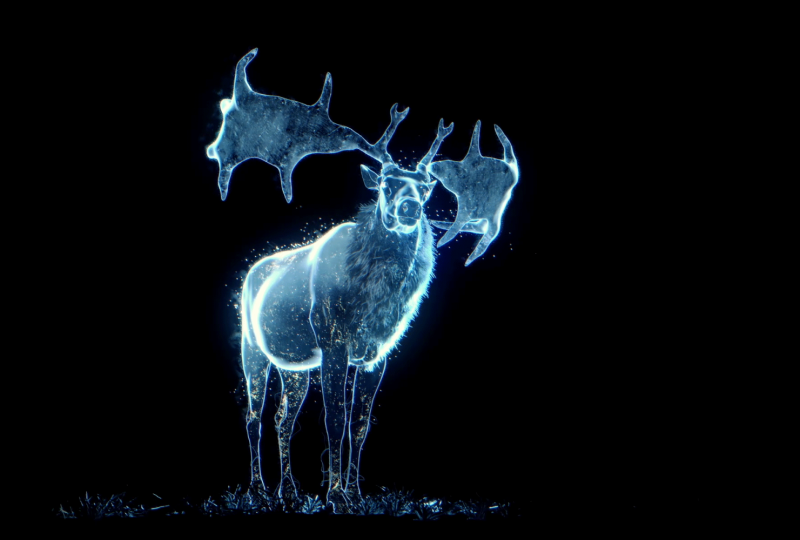 Les Nocturnes de Chauvet à Vallon-Pont-d'Arc - 4