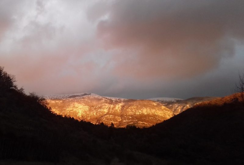 Les Nuits du Taris à Bourdeaux - 21