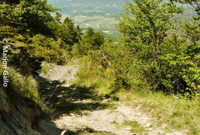 Les collines d’Orcinas à Orcinas - 0