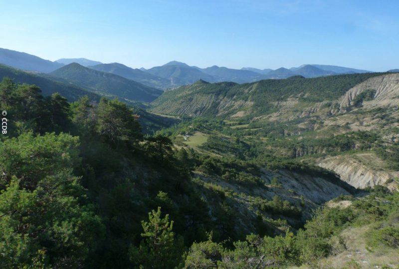 Le tour de Gourdon à Bézaudun-sur-Bîne - 5