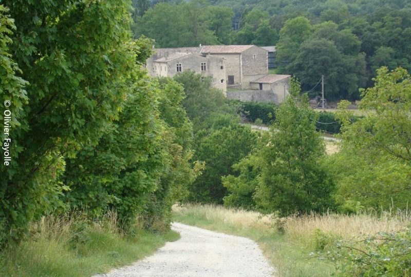 En sous bois à Le Poët-Laval - 1