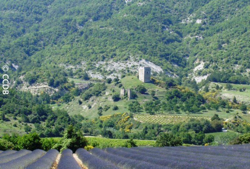 Les ruines de Béconne à Dieulefit - 2