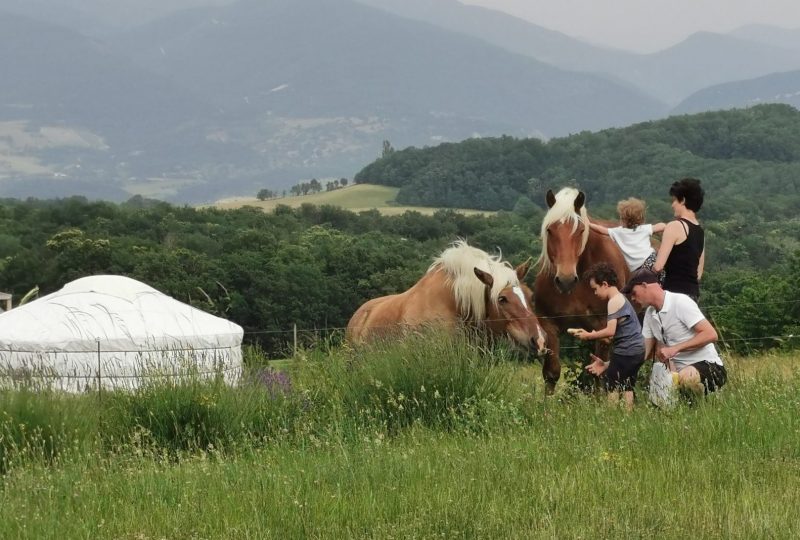 Drôme Esprit Nature à Le Poët-Célard - 9