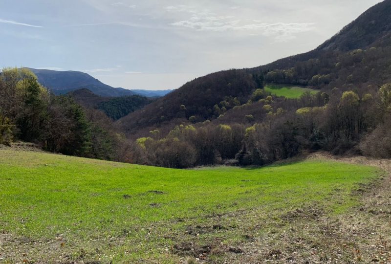 MONTJOUX – Cols Imbert et Marot à Montjoux - 3