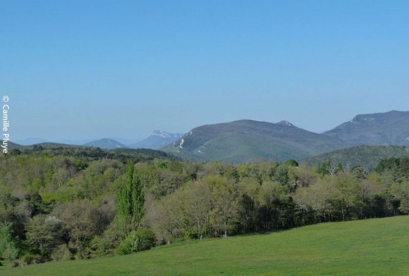 Le tour des aguerris à Dieulefit - 0