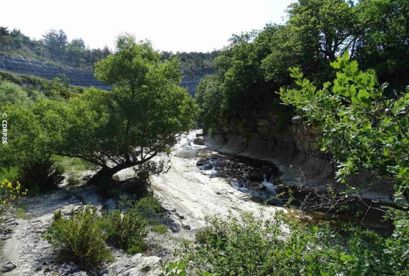 Bois Sec et Vaire à Francillon-sur-Roubion - 1