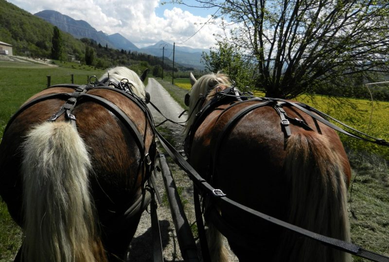 Evasion nature roulotte itinérante et balade en calèche à Le Poët-Célard - 7