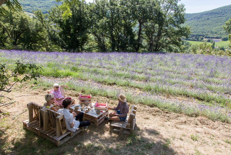 Sumptuous picnic surrounded by lavender – L’Essentiel de Lavande à La Bégude-de-Mazenc - 3