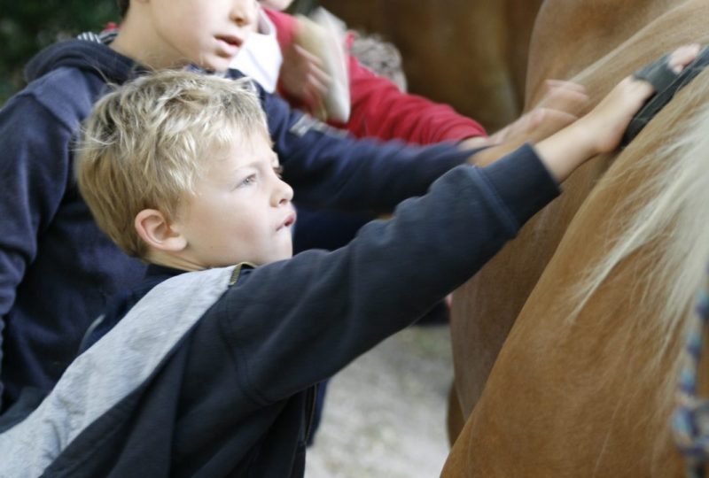 Drôme Roulottes Vacances: Calèches et vacances en roulottes itinérantes. à Le Poët-Célard - 5