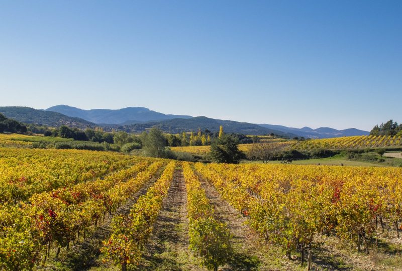 Fascinant Week-end Vignobles & Découvertes – Drôme Provençale à Grignan - 0