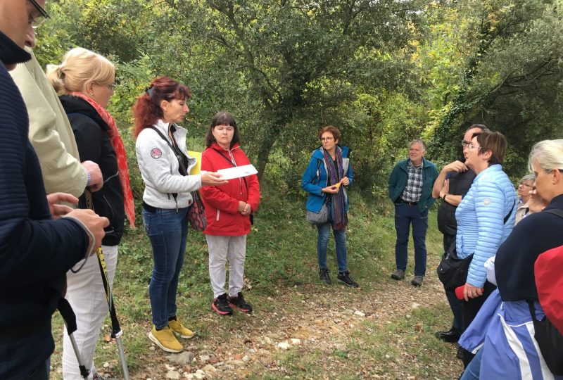 Visite guidée le Chemin des Artistes Réfugiés à Dieulefit - 1