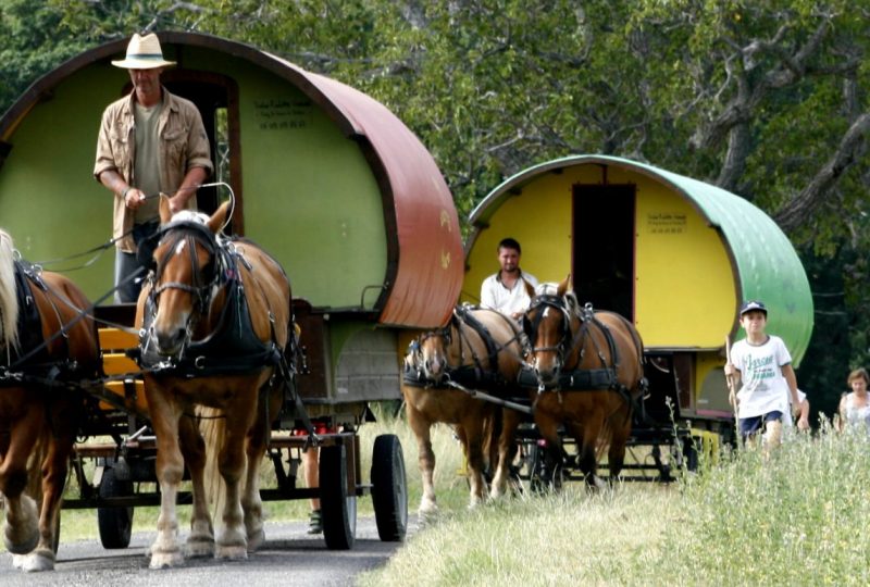 Drôme Roulottes Vacances: Calèches et vacances en roulottes itinérantes. à Le Poët-Célard - 1