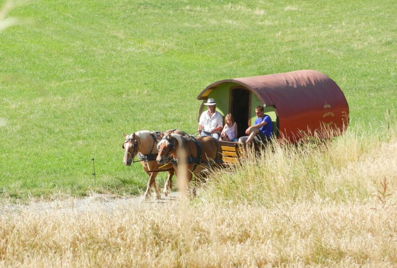 Drôme Roulottes Vacances: Calèches et vacances en roulottes itinérantes. à Le Poët-Célard - 0