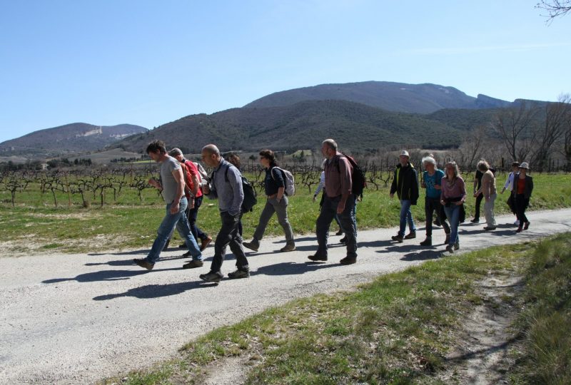 Les vins remarquables de la Drôme Provençale – Pays de Dieulefit-Bourdeaux à Dieulefit - 2