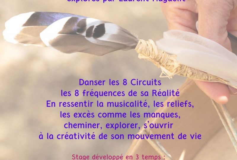 La danse des 8 circuits à Souspierre - 0