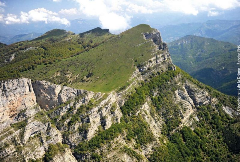 Pré de l’Ane par le coeur de la forêt à Saoû - 1