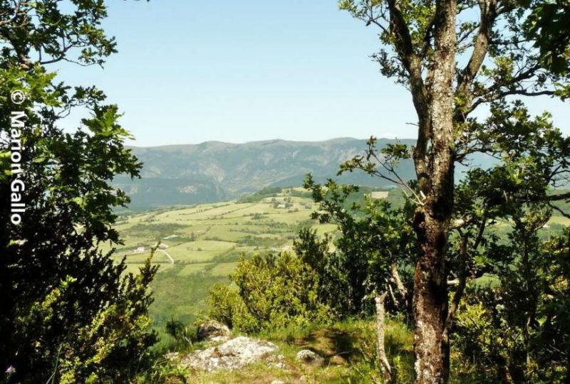 La montagne des Ventes à Dieulefit - 0