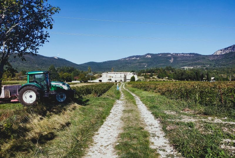 Domaine du Chardon Bleu à Roche-Saint-Secret-Béconne - 4