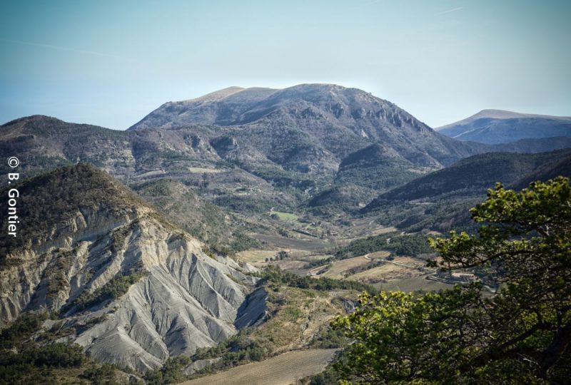 Cougoir à Teyssières - 1