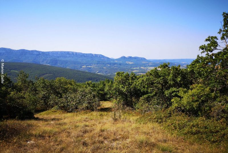 La montagne d’Eson à Pont-de-Barret - 2