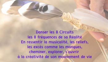 La danse des 8 circuits_Souspierre