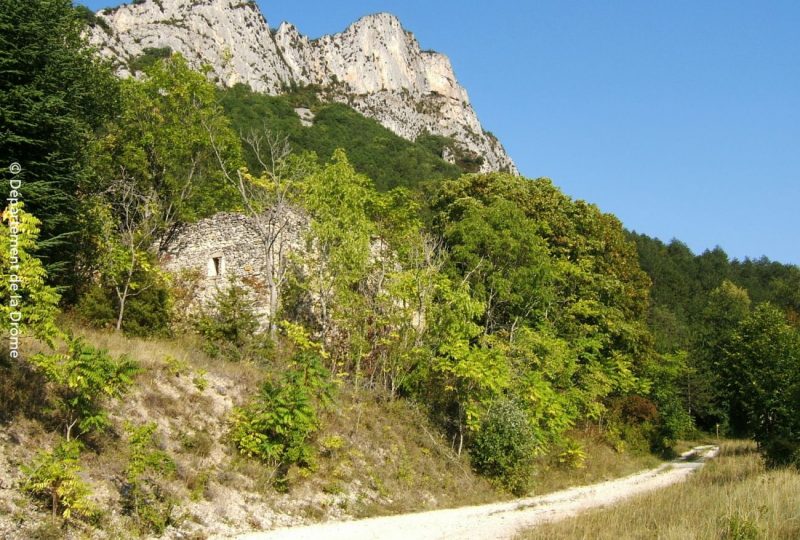 Les anciennes fermes à Saoû - 3