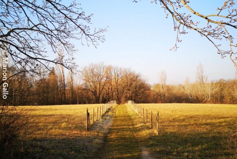 Les Châtelards à La Bégude-de-Mazenc - 1