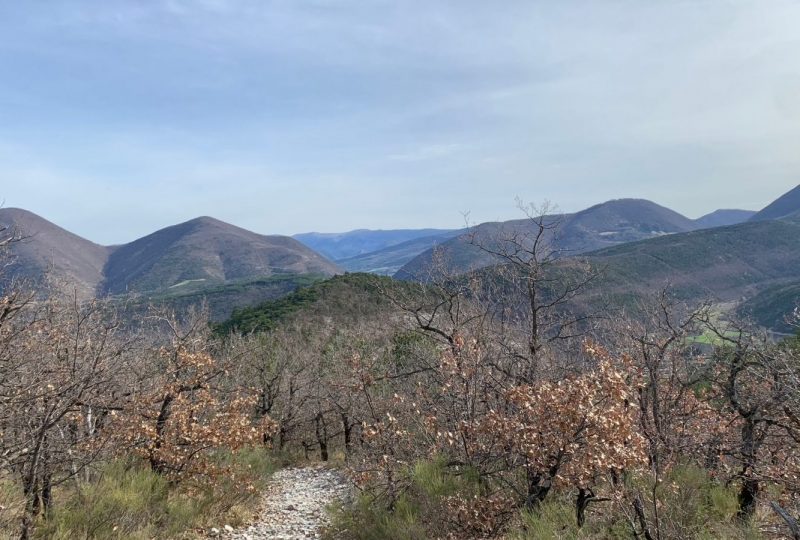 MONTJOUX – Cols Imbert et Marot à Montjoux - 0