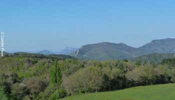 Le tour des aguerris