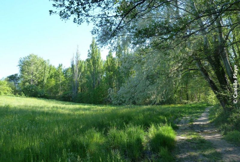 Balade en plaine à La Bégude-de-Mazenc - 0