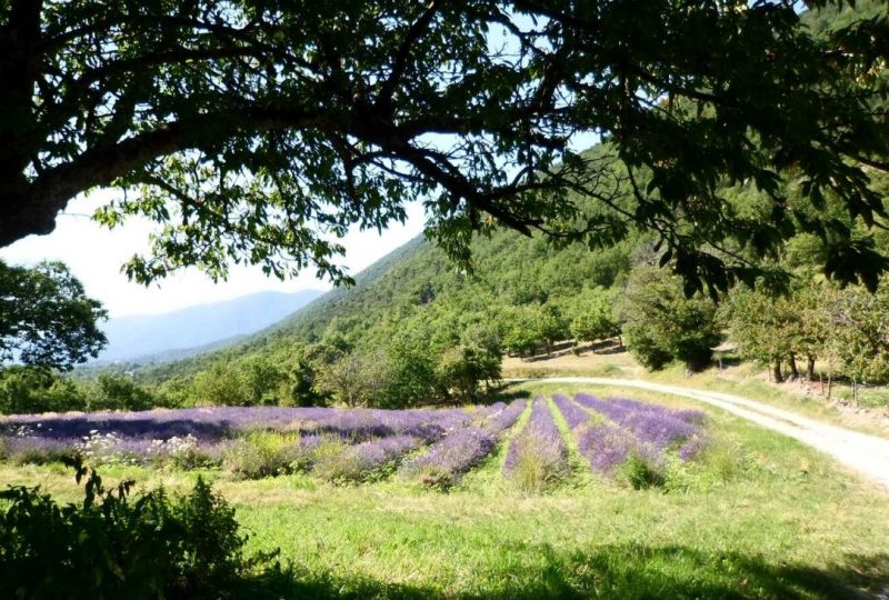 Le Devès à Montjoux - 0