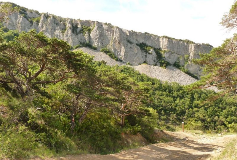 Le rocher des Aures à Roche-Saint-Secret-Béconne - 1