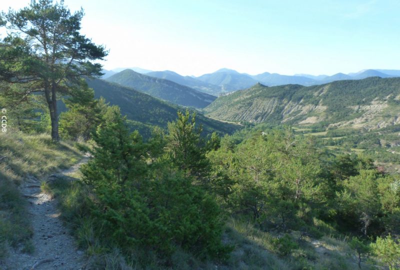 Le tour de Gourdon à Bézaudun-sur-Bîne - 5