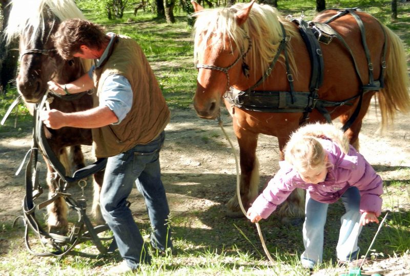 Evasion nature roulotte itinérante et balade en calèche à Le Poët-Célard - 6