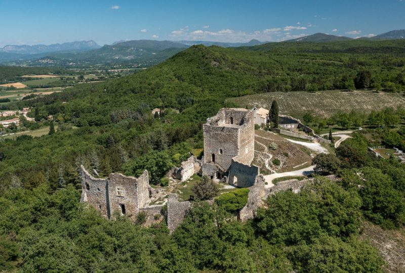 Le Château de Rochefort-en-Valdaine à Rochefort-en-Valdaine - 2