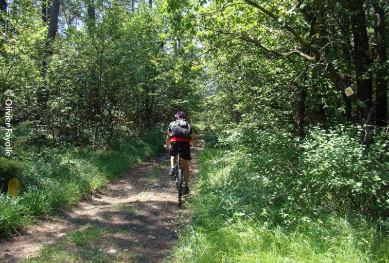 Autour de Chabotte à Le Poët-Laval - 1